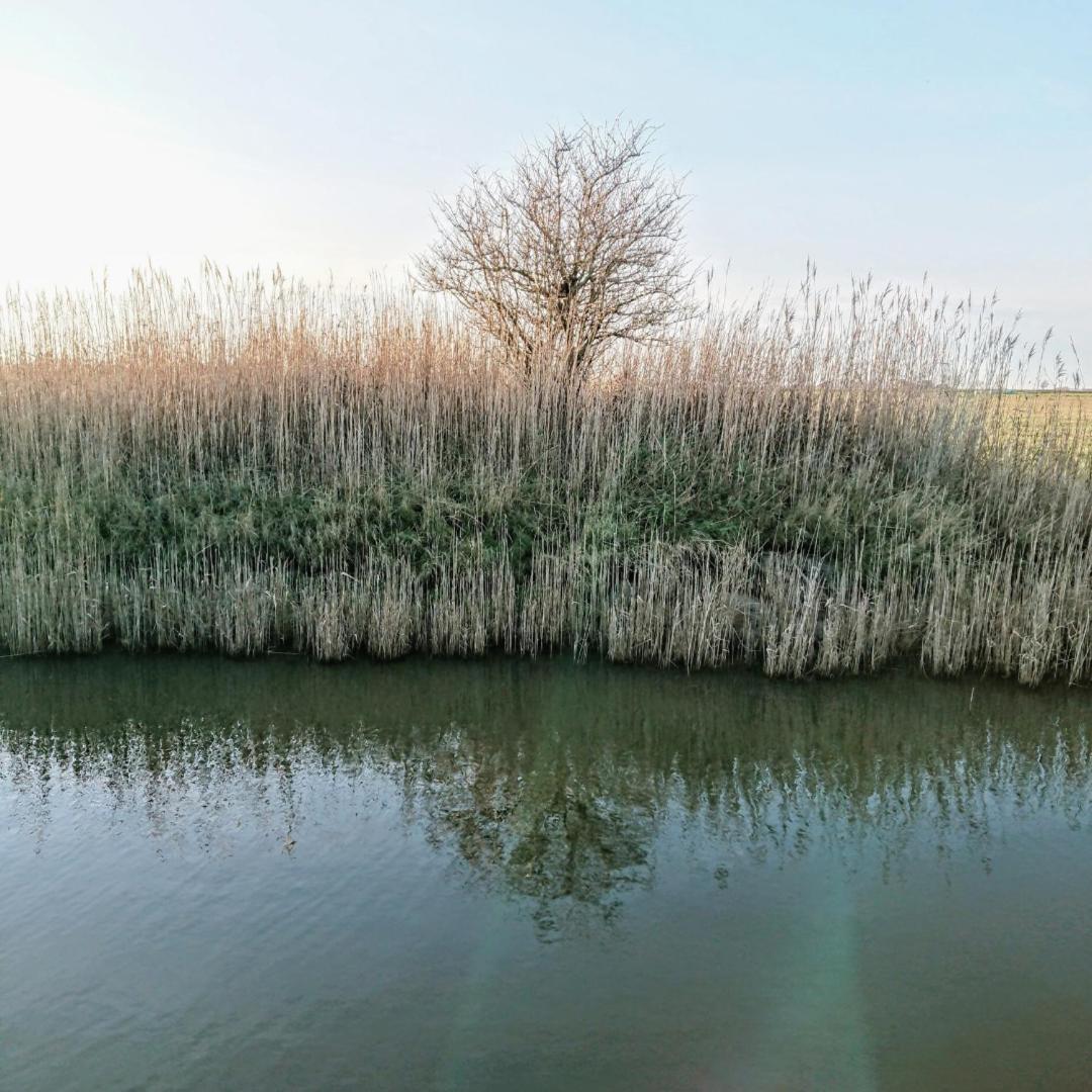 Op Oost Boutique & Restaurant Het Kook Atelier 5*